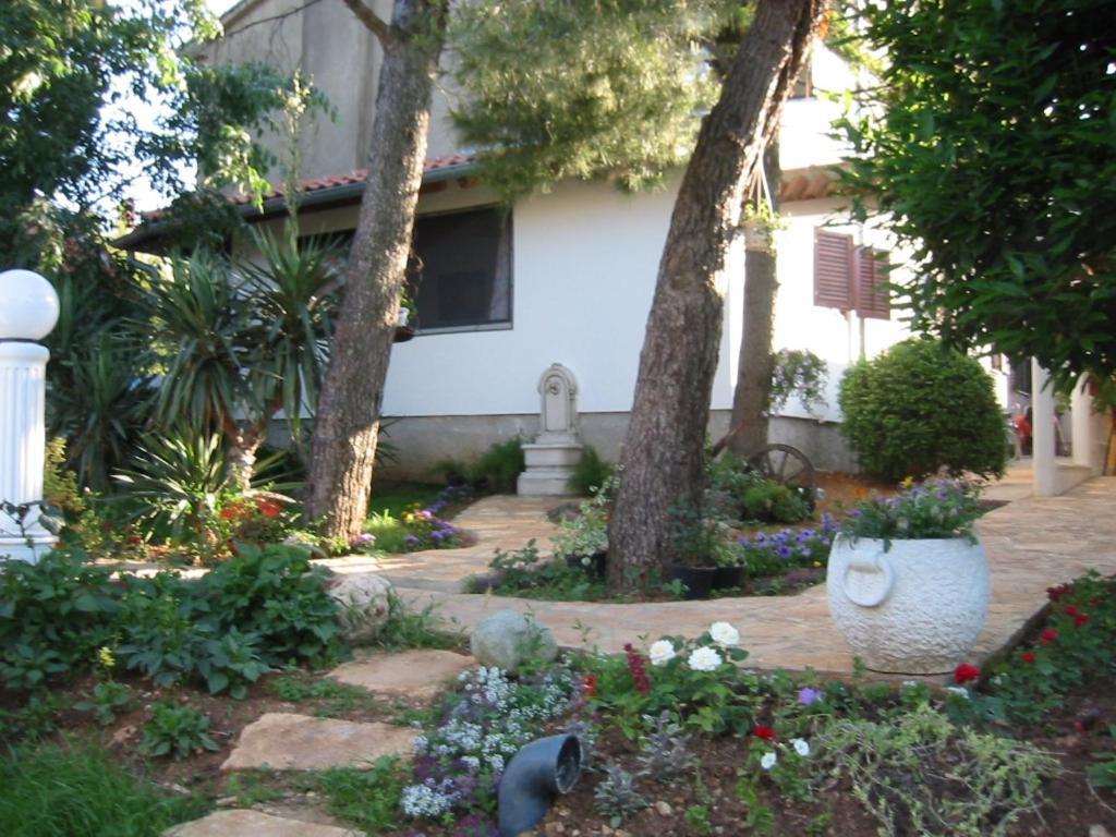 Apartment Vintijan