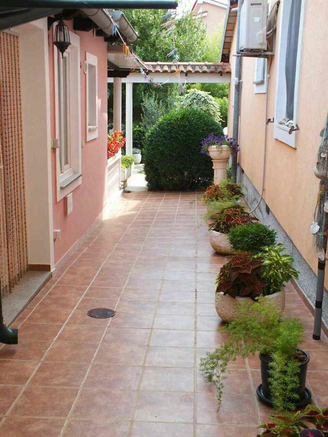 Apartment Vintijan *
