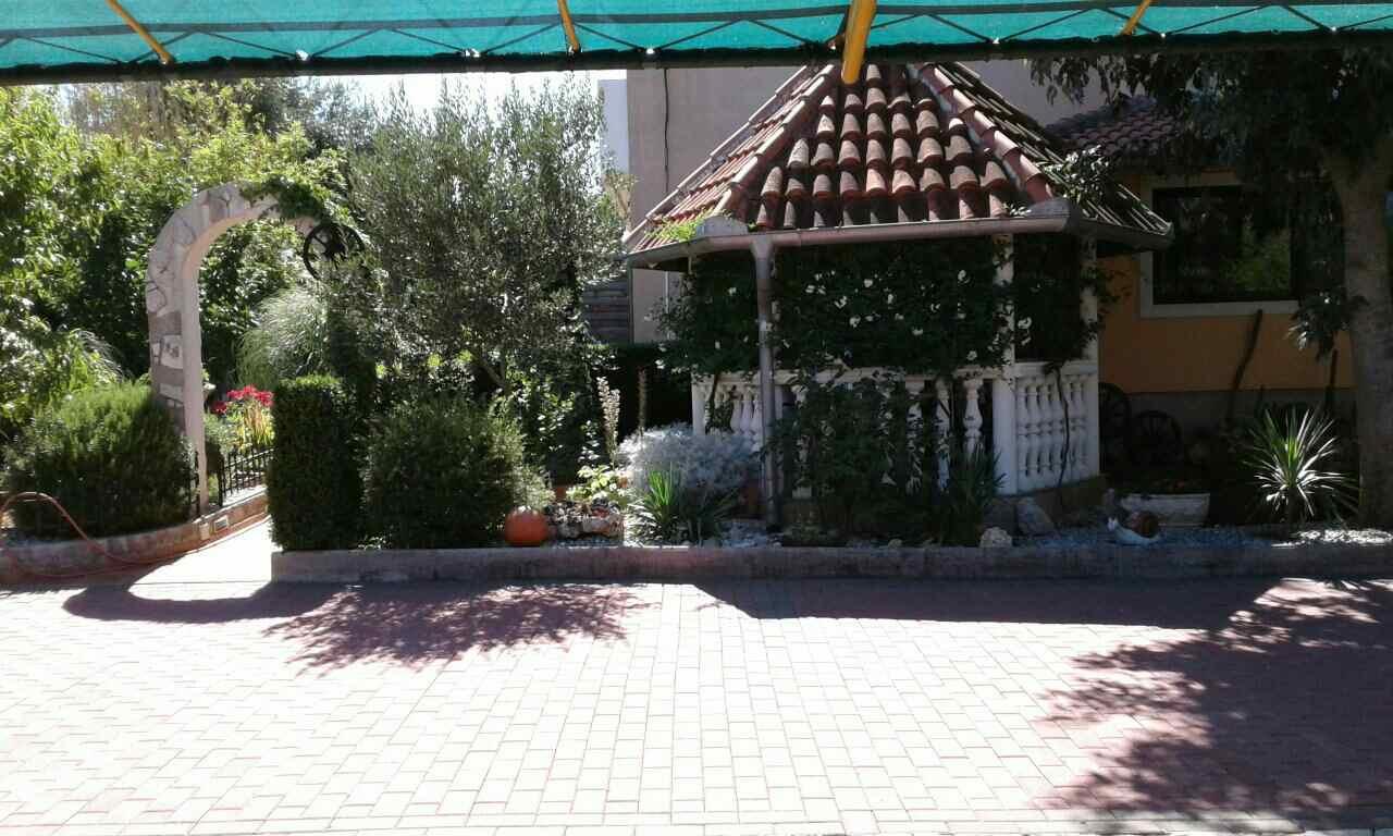 Vintijan *