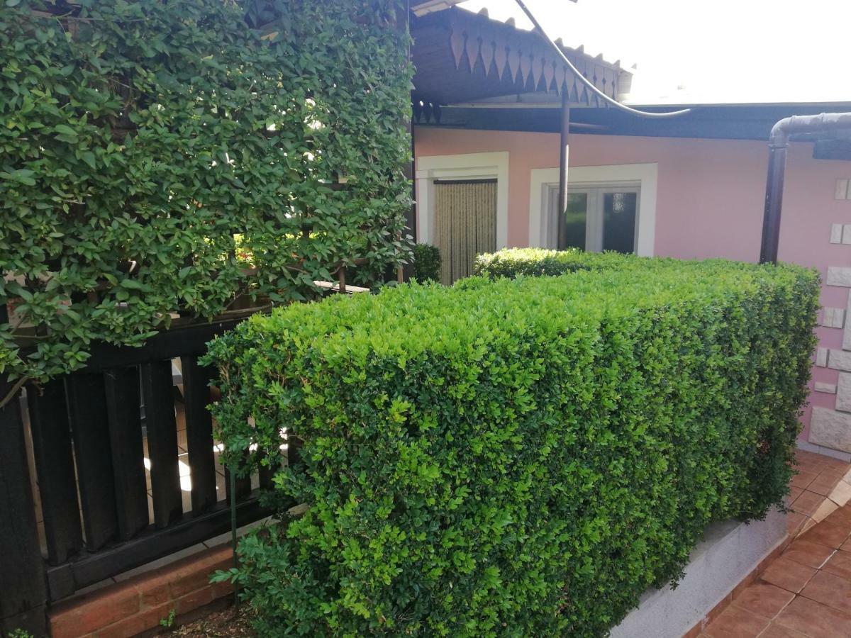 Vintijan Pola