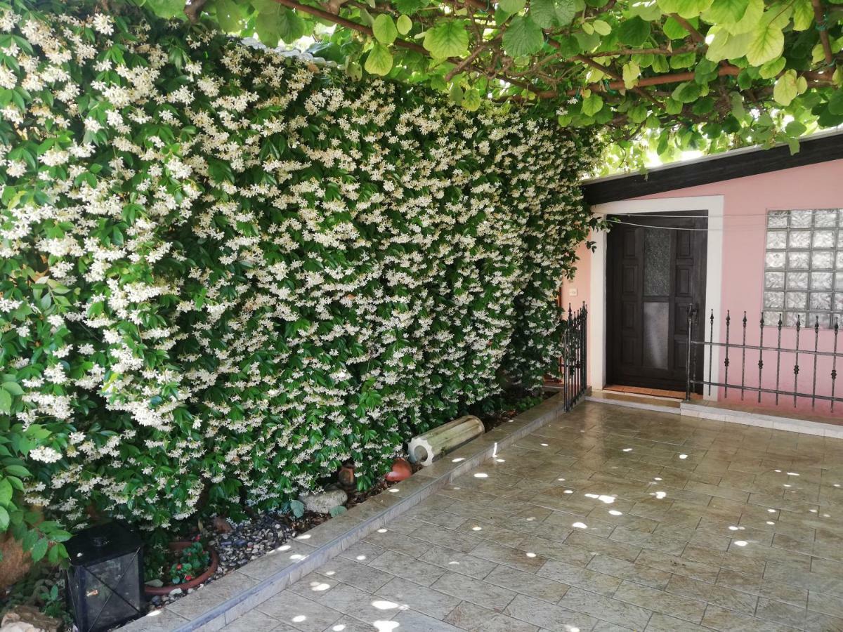 Vintijan Appartamento